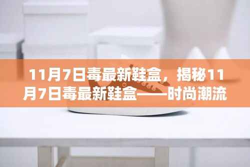 揭秘，11月7日毒最新鞋盒——潮流时尚中的独特风采