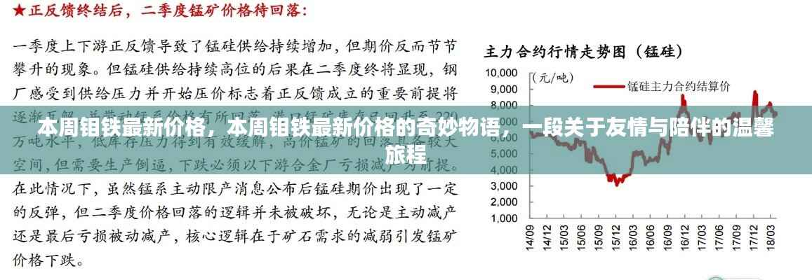 本周钼铁最新价格揭秘，友情与陪伴的温馨旅程