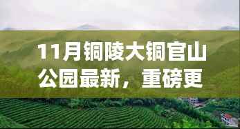 11月铜陵大铜官山公园惊艳新貌,重磅更新探秘之旅