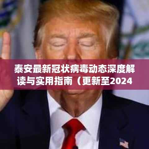 泰安最新冠状病毒动态深度解读与实用指南(更新至2024年11月13日)