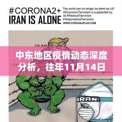 中东地区疫情动态深度分析,往年11月14日的最新消息与趋势聚焦