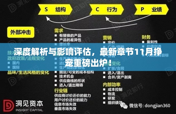 深度解析与影响评估,最新章节11月挣宠重磅出炉!