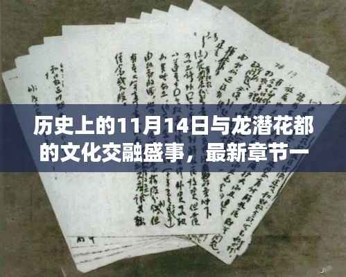 历史上的11月14日与龙潜花都的文化交融盛事,最新章节一览