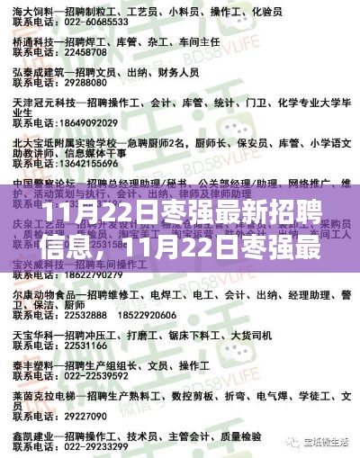 11月22日枣强最新招聘信息全面解析与介绍