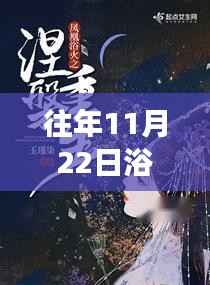 项目介绍 第546页