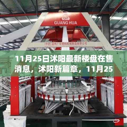 沭阳最新楼盘市场动态,深度观察与最新消息