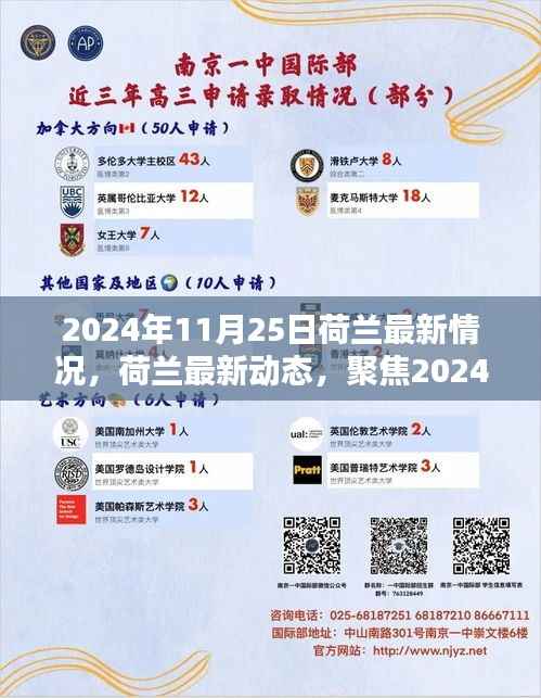 荷兰最新动态,聚焦2024年11月25日概览