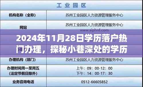 探秘学历落户宝藏,2024年11月28日热门办理之旅揭秘!