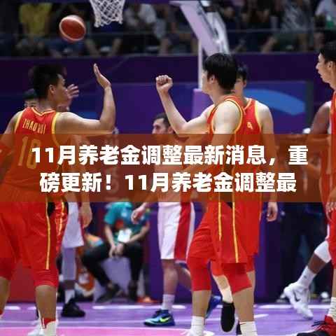 重磅更新！全面解析11月养老金调整最新消息