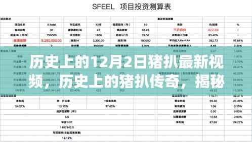 揭秘猪扒传奇,历史上的十二月二日经典视频回顾与故事揭秘
