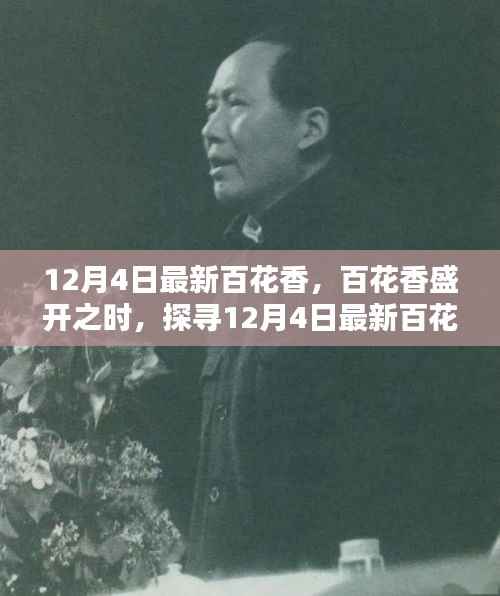 探寻最新百花香,盛开之奥秘的探寻之旅(12月4日)