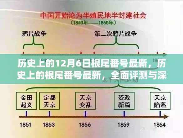 历史上的根尾番号最新揭秘,全面评测与深度解析