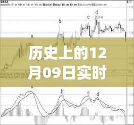 探寻历史股价指标，揭秘12月09日实时股价走势图