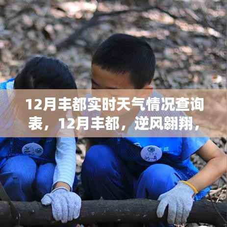 12月丰都实时天气与变化共舞的新篇章