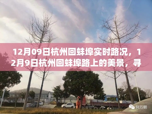 12月9日杭州回蚌埠之旅,实时路况与心灵美景的双重体验
