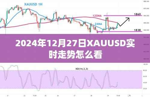 2024年12月27日XAUUSD实时走势解析与预测