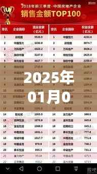 荷兰VS厄瓜多尔,实时比分揭晓,精彩对决不容错过