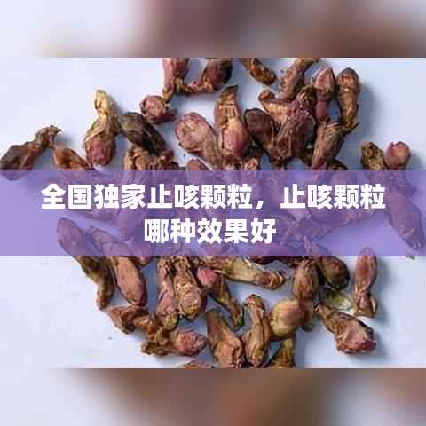 咫尺天涯 第4页