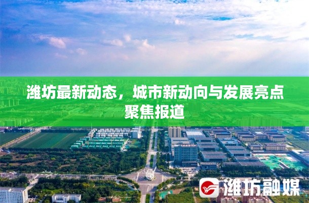 潍坊最新动态,城市新动向与发展亮点聚焦报道