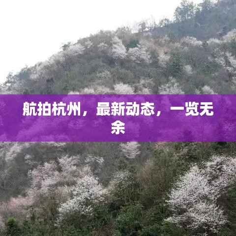 航拍杭州,最新动态,一览无余