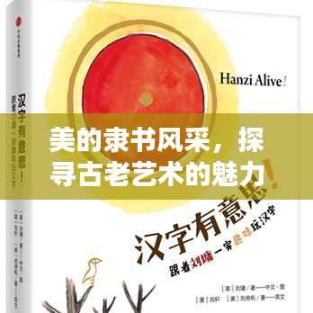 美的隶书风采,探寻古老艺术的魅力与韵味