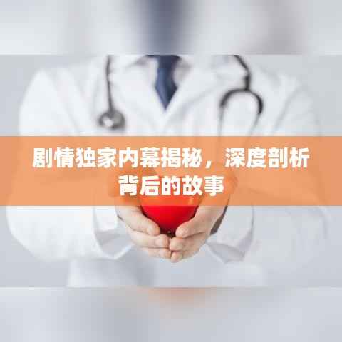 剧情独家内幕揭秘,深度剖析背后的故事