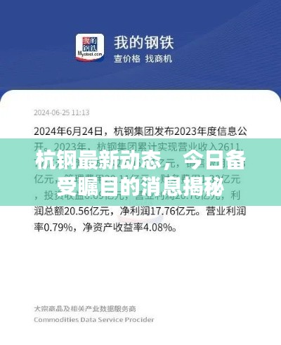 杭钢最新动态,今日备受瞩目的消息揭秘
