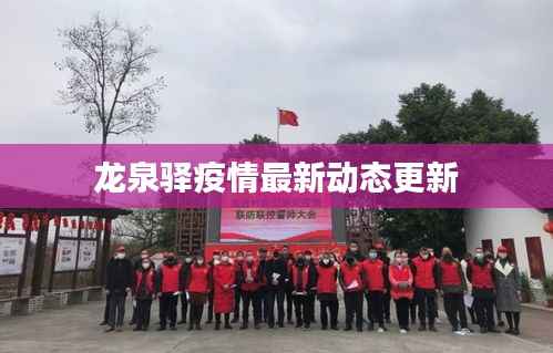 龙泉驿疫情最新动态更新