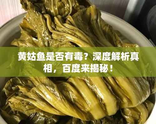 黄姑鱼是否有毒?深度解析真相,百度来揭秘!