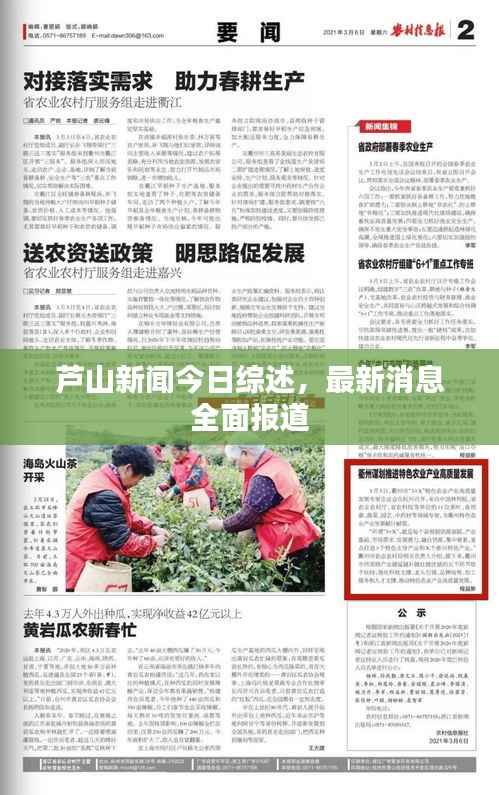 芦山新闻今日综述,最新消息全面报道
