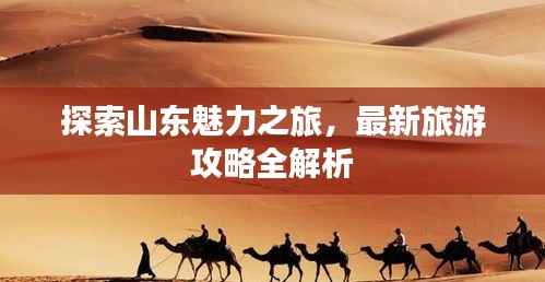 探索山东魅力之旅,最新旅游攻略全解析