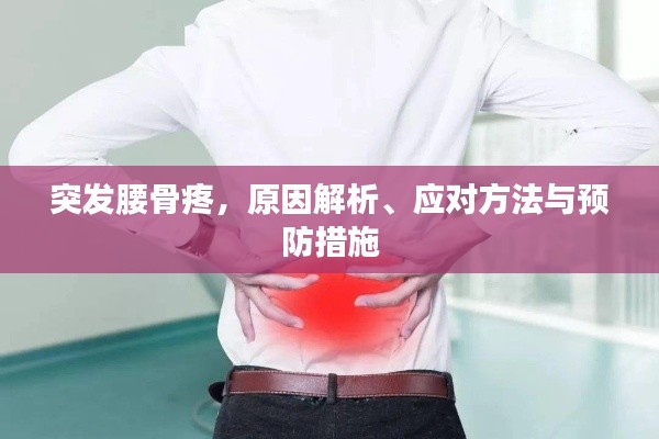 贵出贱收 第2页