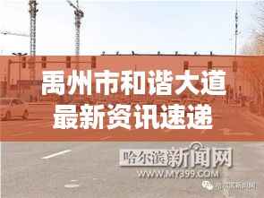 禹州市和谐大道最新资讯速递