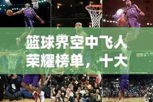 篮球界空中飞人荣耀榜单,十大扣将排名揭晓!