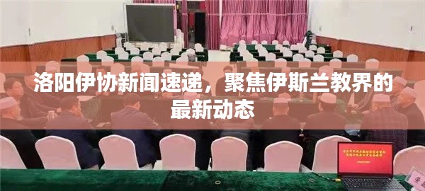 洛阳伊协新闻速递,聚焦伊斯兰教界的最新动态